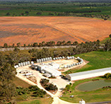 an aerial view of Frances Seeds